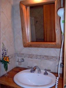 圣卡洛斯-德巴里洛切恩尔科拉宗德尔博斯克山林小屋的一间带水槽和镜子的浴室
