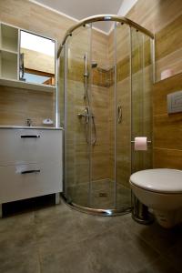 罗威Domki na Rozanej的带淋浴、卫生间和盥洗盆的浴室