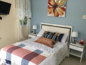 迪斯卡弗里贝Cool Breeze Discovery Bay的一间卧室配有一张带2个床头柜和2盏灯的床。