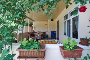 LahıcAncient Lahij Guest House的房屋上一个有三株盆栽植物的门廊