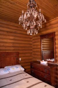 Gourri*2 bdr log house /mountains/Queen bed/fireplace的相册照片