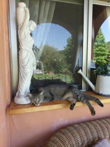 埔里布拉姆索乡村民宿的一只猫躺在雕像旁边的窗边