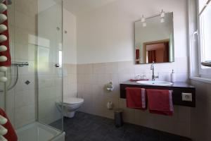 弗罗伊登施塔特柯尼希卡尔酒店的浴室配有卫生间、盥洗盆和淋浴。