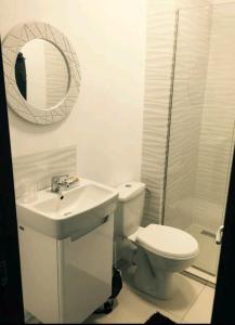 马马亚Mamaia Beach Side的一间带卫生间、水槽和镜子的浴室