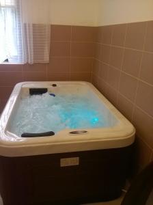 加尔多尼ZENITH APARTMAN的浴室设有装满蓝色水的浴缸。
