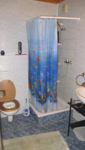 BellevueHome to Rent的一间带卫生间和淋浴帘的浴室