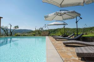 基安蒂格雷夫La Rimbecca Greve in Chianti的一个带两把遮阳伞和躺椅的游泳池