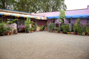 ThikaRight Venue Hotel的一座种植了许多盆栽植物的建筑