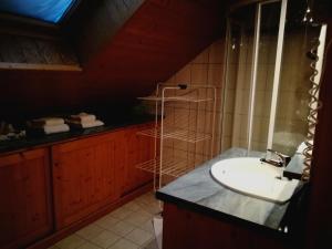 拉布雷斯斯齐奥尔斯酒店的一间带水槽和淋浴的浴室