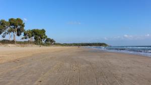塔拉戈纳Hostal 977的沙中一片空旷的海滩