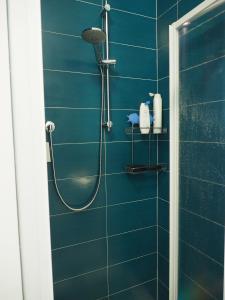 瓦斯托CVT Punta Cavalluccio的蓝色瓷砖浴室配有淋浴。