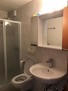 圣贝纳迪诺Appartamenti Panorama的浴室配有卫生间、盥洗盆和淋浴。