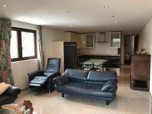 圣贝纳迪诺Appartamenti Panorama的带沙发和椅子的客厅以及厨房。