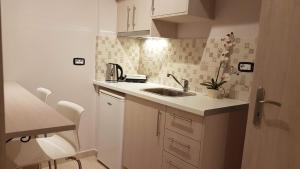 帕尔加Vito's Parga View Apartments的一个带水槽和柜台的小厨房