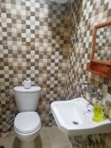 安曼埃尔祖莉耶酒店的一间带卫生间和水槽的浴室