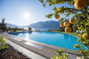 布里萨戈Parkhotel Brenscino Brissago的一座带湖泊的游泳池
