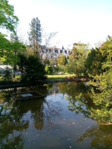 维希弗朗索瓦第一公寓的公园中央的池塘