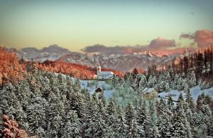 VojskoApartma Alpski vrt的山中带教堂的雪覆盖的森林