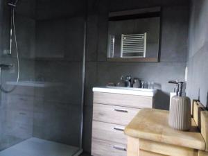 艾瓦耶Votre Horizon的带淋浴和盥洗盆的浴室