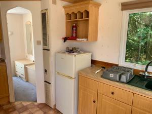 布莱顿霍夫Private Countryside Holiday Cabin 10 mins from Brighton的厨房配有白色冰箱和窗户。