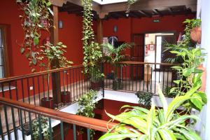 科尼尔-德拉弗龙特拉安达卢斯旅馆的阳台种植了植物,拥有红色建筑