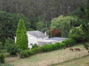 蒙多涅多芬卡埃尔雷曼苏乡村别墅的一座白色的房子,里面放着马,在田野里放牧