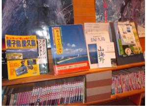 屋久岛Yakushima Park Guesthouse的书架上堆满了书