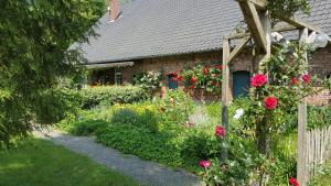 博霍尔特Bauernhof Barlo的玫瑰砖屋前的花园