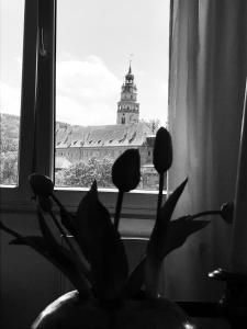 捷克克鲁姆洛夫Krumlove的窗前花瓶