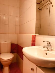 捷克克鲁姆洛夫Krumlove的一间带水槽、卫生间和镜子的浴室