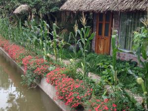 Thái BìnhThai Binh Garden的一座花园,在房子前种有鲜花