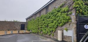 沙勒维尔-梅济耶尔La Ferme De Saint Julien的砖墙,有绿色常春藤