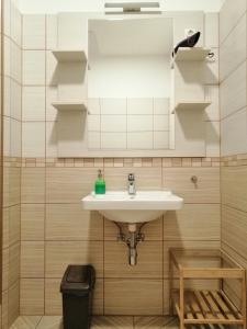 布达佩斯Zoom-Budapest Apartments的一间带水槽和镜子的浴室