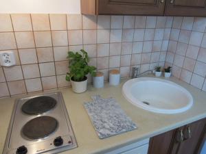 辛安诺泽蒂Manta Apartamenty的厨房配有水槽、炉灶和水槽