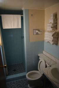 苏圣玛丽中央城汽车旅馆的浴室设有卫生间和带毛巾的淋浴。