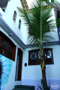 迪维诺波利斯HOSTEL Divinópolis的房屋前的棕榈树