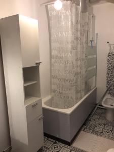 圣拉里苏朗studio saint lary soulan的带淋浴和卫生间的浴室