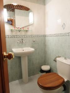 梅尔尼克德斯博斯拉夫餐厅酒店的一间带卫生间和水槽的浴室