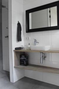 Sint-OedenrodeDe Weije Wereld的一间带水槽和镜子的浴室