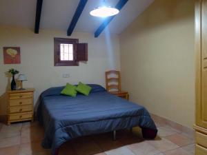 穆尔西亚Finca El Carrascal的一间卧室配有一张带蓝色床单和绿色枕头的床。