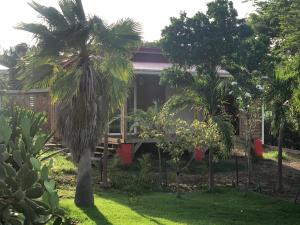 勒穆莱Les Z’Alizés的花园中棕榈树的房子