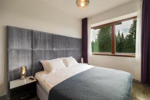 Silver Mountain A21 Friendly Apartment客房内的一张或多张床位