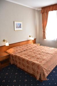 布拉格阿比斯酒店的一间酒店客房,客房内配有一张床