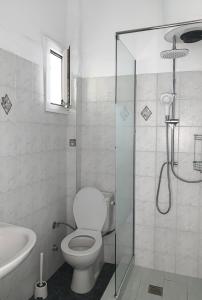 波利克罗诺Afkos Apartments的浴室配有卫生间、淋浴和盥洗盆。