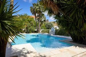 埃斯特雷莫斯帕迪索拉雷斯魅力酒店的棕榈树庭院内的游泳池