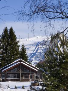 耶姆赛西莫硕维小屋酒店的雪覆盖的山地的滑雪小屋