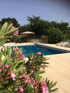 滨海阿热莱斯Villa Côte Vermeille的游泳池前有粉红色的花朵