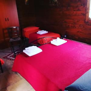 切萨雷奥港Oasi San Pio的两张红色的床,上面有毛巾