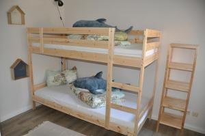 费马恩Fischerhus的两张双层床,位于一间有两只猫的房间