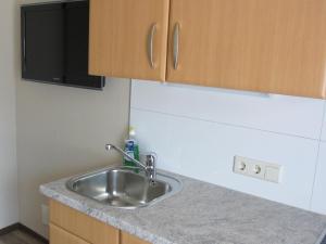弗拉绍哈茨乐奔公寓的厨房柜台设有水槽和微波炉